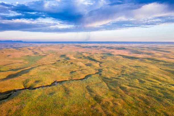 Image of a majestic elephant on a savannah